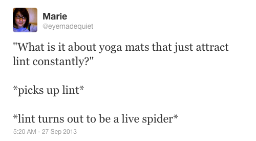 'What is it about yoga mats that just attract lint constantly?'*picks up lint**lint turns out to be a live spider*