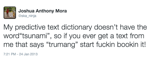My predictive text dictionary doesn’t have the word tsunami, so if you ever get a text from me that says trumang start fuckin bookin it!