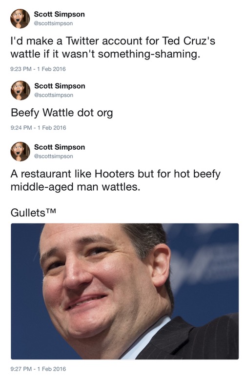 I'd make a Twitter account for Ted Cruz's wattle if it wasn't something-shaming.; Beefy Wattle dot org; A restaurant like Hooters but for hot beefy middle-aged man wattles. 

Gullets™
